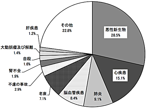 頭部外傷 対応疾患 流山中央病院 脳神経外科ホームページです 日本脳神経血管内治療学会研修施設 認定病院 脳動脈瘤 クモ膜下出血 脳出血 脳梗塞などの血管障害だけでなく 脳動静脈奇形や硬膜動静脈瘻といった 珍しい疾患もカバーしています