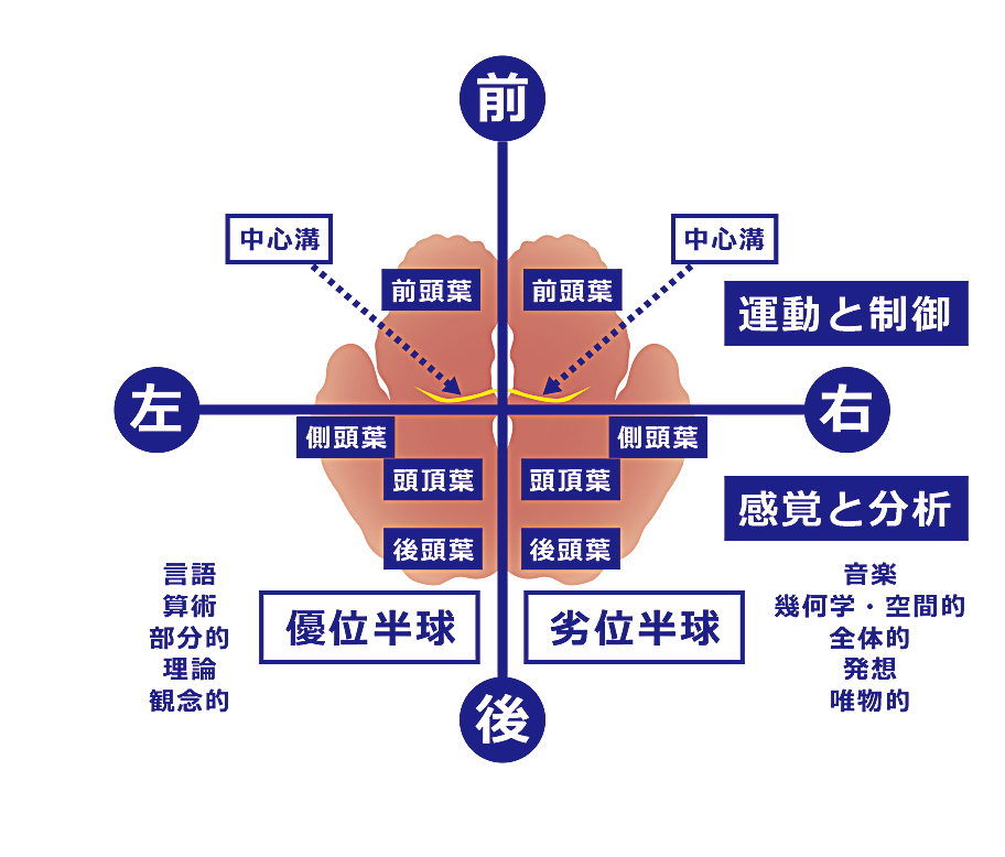 ニク バル モダン ミール 大津 店